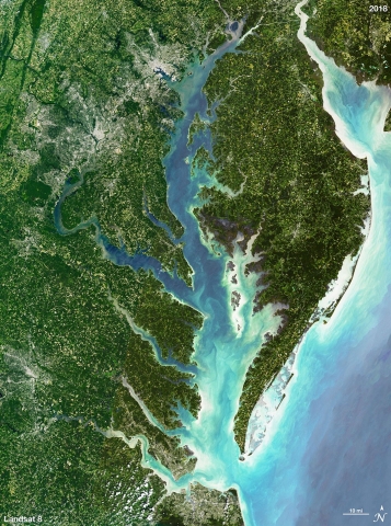 A colorful satellite image of the Chesapeake Bay area including green forests, white beaches, and sediment swirls in the water